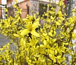 Завтра столбик термометра в Астраханской области покажет +24 градуса