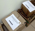 Для бойцов СВО воспитанники воскресной школы астраханского храма изготовили особые молитвословы