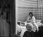 "Игра жизни" довела жительницу Астрахани до психбольницы