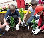 В Астрахани выбрали самый красивый двор