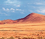 В Астраханской области пройдет беспрецедентный забег вдоль Озера Баскунчак