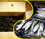 На астраханских дорогах полиция задержала две иномарки без документов на 200 кг раков и 150 кг рыбы