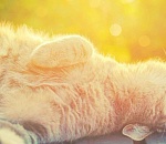 В Астрахань возвращается жара