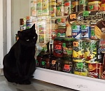 Программу развития астраханской экономики срезали на 12%