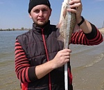 Победитель. Астраханец поймал гигантскую воблу