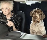 Летающие и висячие авто. ТОП-5 самых жестких астраханских ДТП