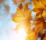 Какая погода ждет астраханцев в сентябре?