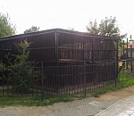 З-зависть: медведь в астраханской зоопарке будет жить лучше, чем ты