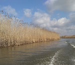 В раскатной части Астраханской области "потеряли" мужчину