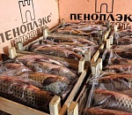 На складах под Астраханью обнаружили более тонны рыбы без какой-либо документации