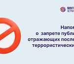  Астраханцам напоминают: публикация фото и видео атак БПЛА запрещена