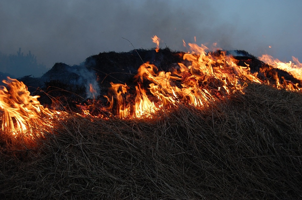 В Астрахани объявлен чрезвычайный уровень пожароопасности