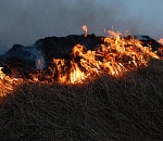 В Астрахани объявлен чрезвычайный уровень пожароопасности