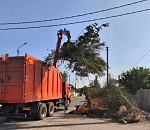 Астраханский мусор сменил районную прописку
