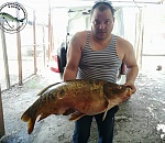 Рыба-гигант, которую поймал астраханец, вызвала у местных жителей недоумение