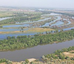 Астраханский заповедник станет больше для сохранения чаек и тюленей
