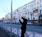 В Астрахани к весне готовят зеленые насаждения и поливочные системы