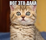 ВНЕЗАПНО: На праймериз «ЕР» лидирует Александр Жилкин