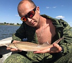 В Астрахани стерлядка ловится на червя