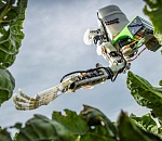 Не дельный обзор. Возможно, вскоре мы будем работать три дня в неделю. А арбузы пусть роботы выращивают