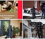 Астрахань. Итоги марта-2021. Баннер  уже сняли, а позорный столб еще не поставили