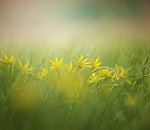 Будет ли завтра в Астрахани тепло