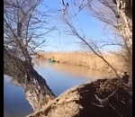В Астраханской области река поглотила огромное дерево