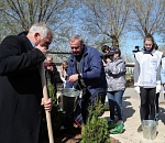 В Астрахани на субботники вышли 29 тыс. человек