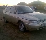 В Астраханской области автоледи сбила лошадь