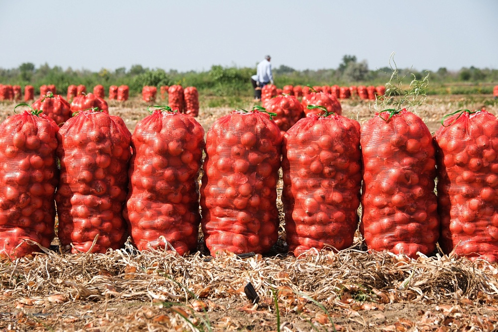 Предприятия АПК в Харабалинском районе наращивают производство
