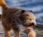 Как астраханцы пережили ночной ураган 