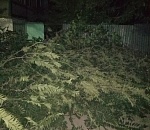 Да здравствует свет! Астраханцы выбрались из сумрака