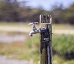 Не дельный обзор. Астрахань – безводная, но честная