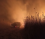 Горел, как порох: хроники тушения и кадры масштабного пожара в Астраханском заповеднике