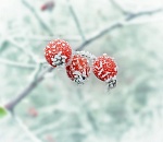 Мороз до минус 12 ждет астраханцев