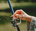 Вобла все: приказ о запрете лова на весь 2025 год принят