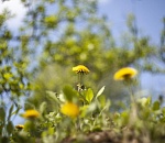 Во вторник в Астрахани будет прохладно