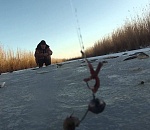 Контролирующие структуры решили пополнить бюджет за счёт рыбаков-любителей?