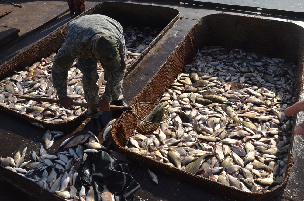 Вице-губернатор "о кнуте и прянике" для владельцев турбаз