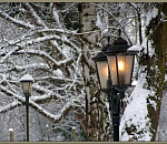 Астраханская погода в декабре