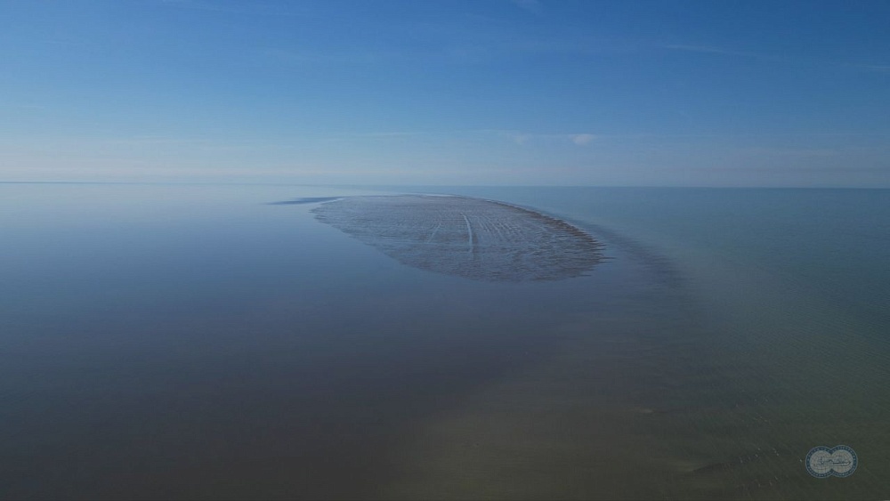 Астраханские ученые сделали сенсационное открытие на Каспии