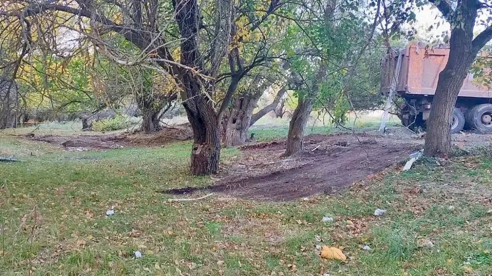 Организаторы незаконной свалки в Ассадулаевском лесу под Астраханью оставили улики