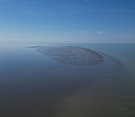 Астраханские ученые сделали сенсационное открытие на Каспии