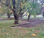 Организаторы незаконной свалки в Ассадулаевском лесу под Астраханью оставили улики