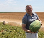 Игорь Мартынов посетил с рабочей поездкой Енотаевский район