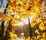 Завтра астраханцы смогут наслаждаться погодой с утра