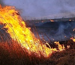 МЧС предупреждает: в Астраханской области на понедельник и вторник  ожидается чрезвычайная пожароопасность