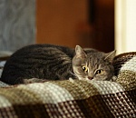 В ночь на пятницу в Астрахани будет холодно: всего 9 градусов