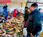 На ярмарке в Астрахани за несколько часов продали более 28 тонн рыбы
