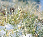 В Астрахань возвращается плюсовая температура